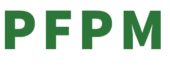 PONGSAT FLIGHT PROGRAM logo